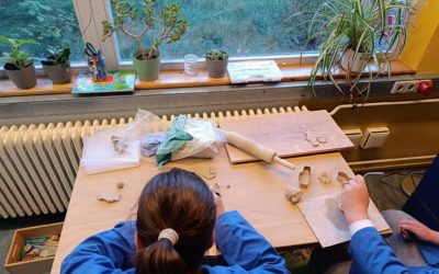 Herbst­zeit im FBB-Garten