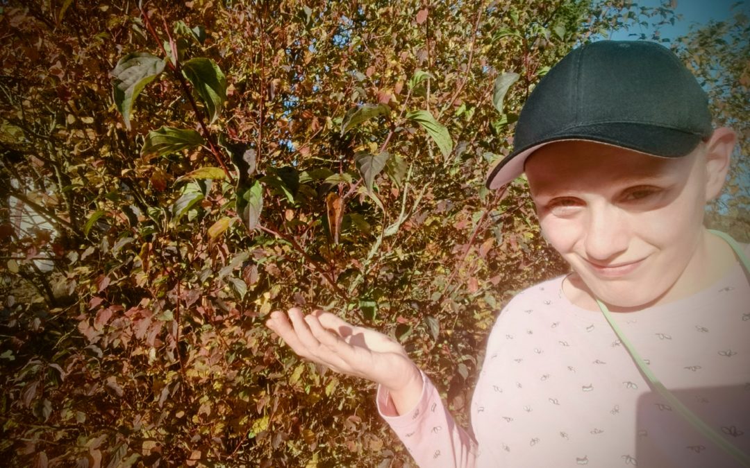 Das Kli­ma zu schüt­zen ist wichtig!