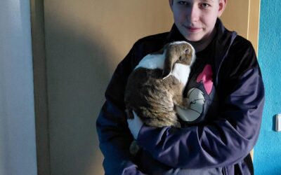 Ab Som­mer ein neu­er Mitbewohner