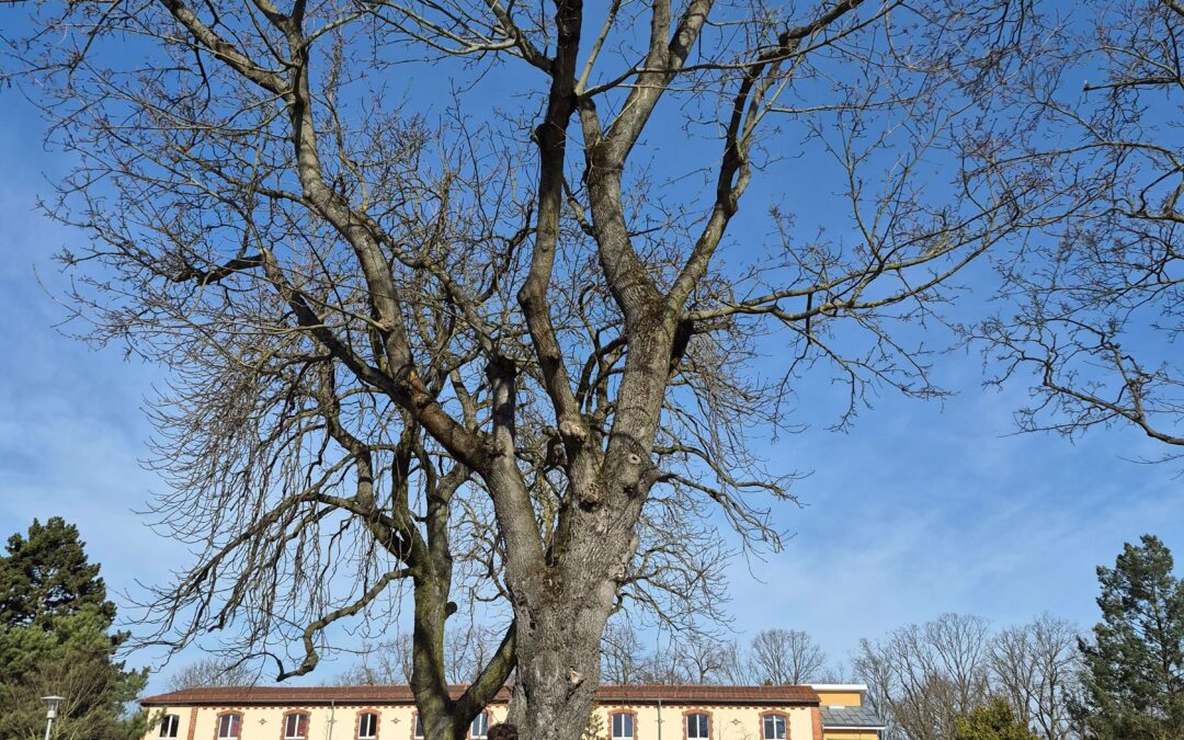 Win­ter­schlaf ist vorbei